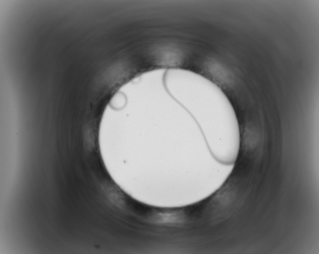 X0000086790370200704201848