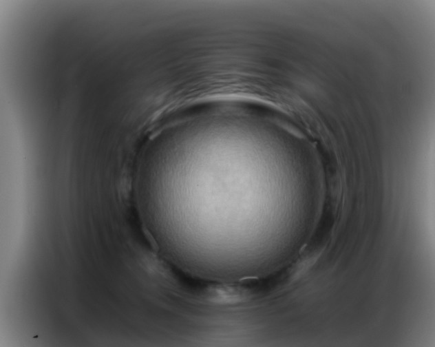 X0000086790372200704201848