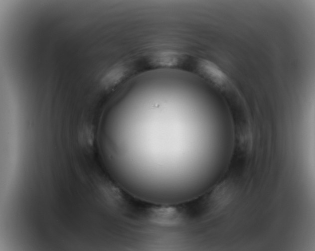 X0000086790374200704201848