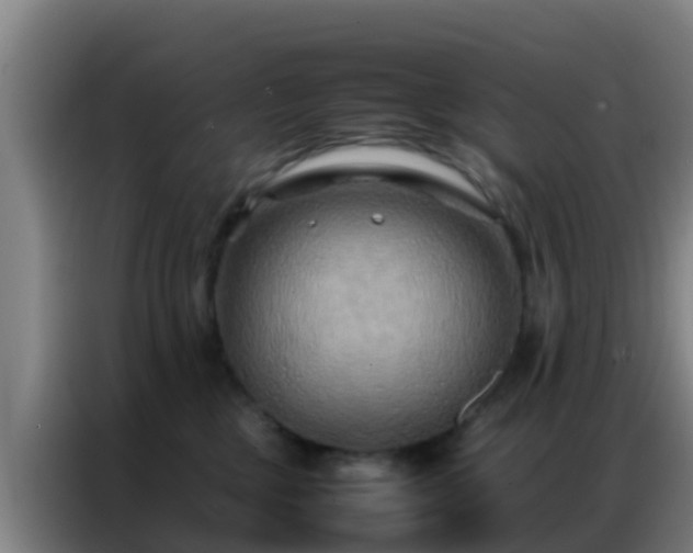 X0000086790377200704201848