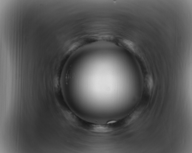X0000086790380200704201848