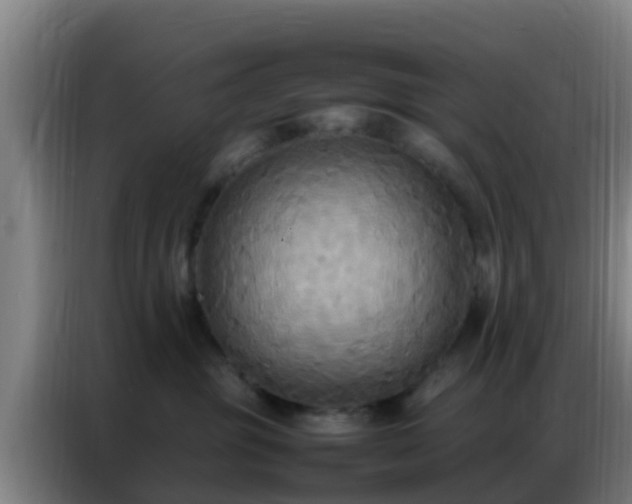 X0000086790381200704201848