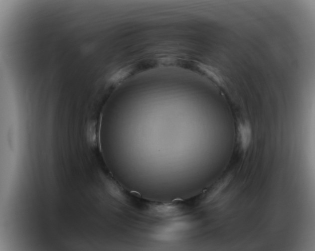 X0000086790383200704201848