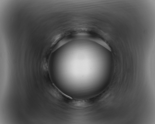 X0000086790384200704201848
