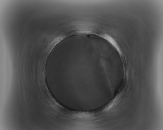 X0000086790385200704201848
