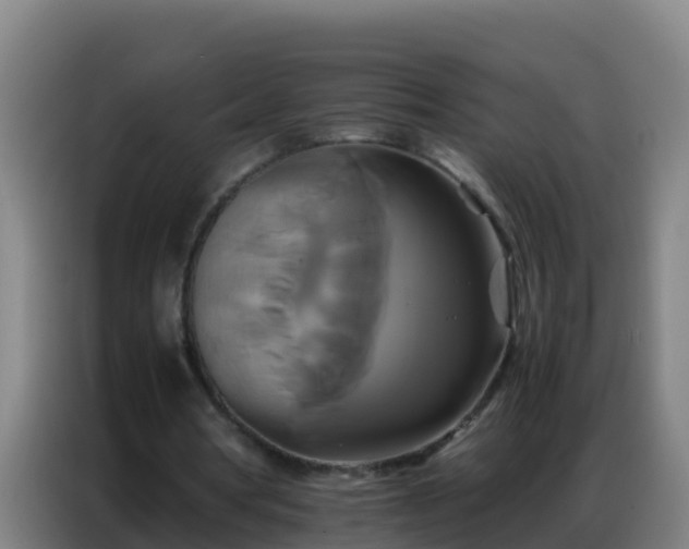 X0000086790386200704201848