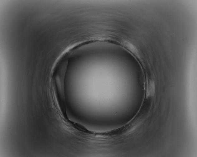 X0000086790387200704201848