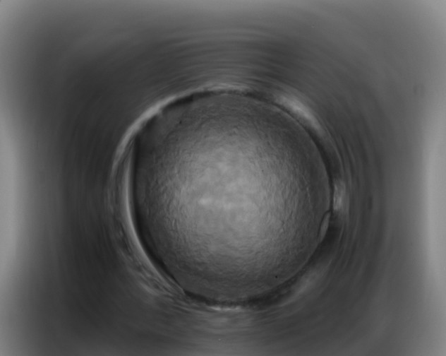 X0000086790388200704201848