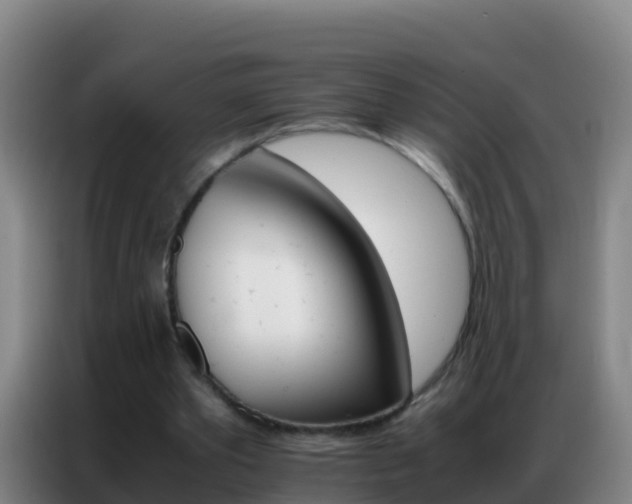 X0000086790389200704201848