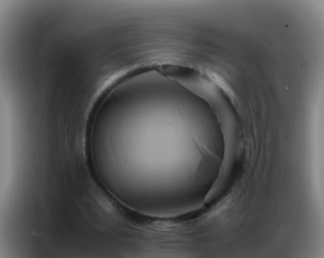 X0000086790391200704201848