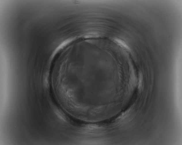 X0000086790392200704201848