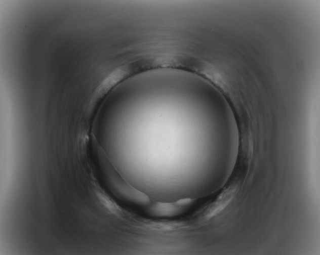 X0000086790393200704201848