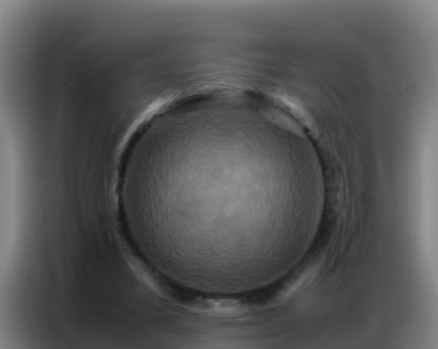 X0000086790395200704201848