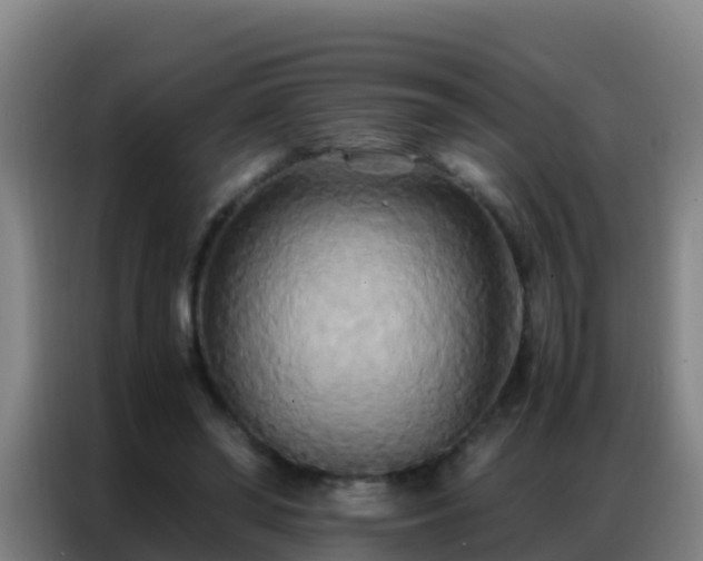 X0000086790398200704201848