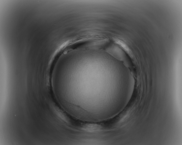 X0000086790399200704201848