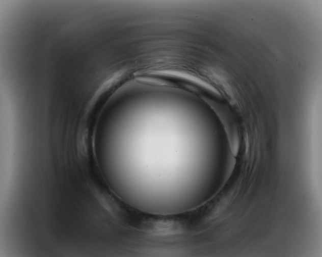 X0000086790400200704201848
