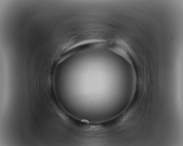 X0000086790401200704201848