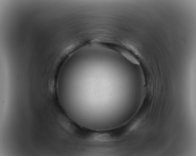 X0000086790403200704201848