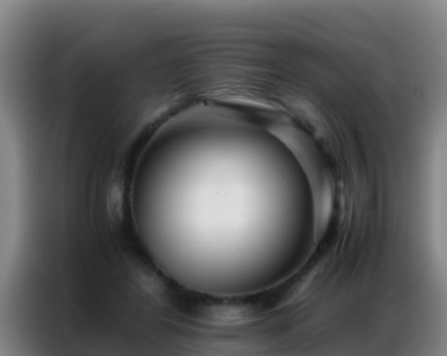 X0000086790404200704201848