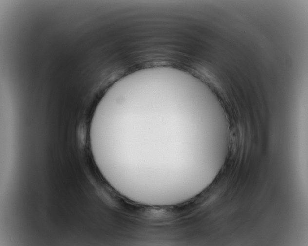 X0000086790406200704201848