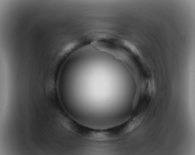 X0000086790407200704201848