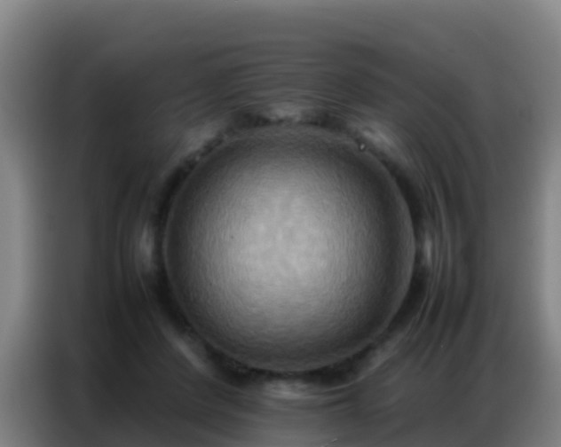 X0000086790408200704201848