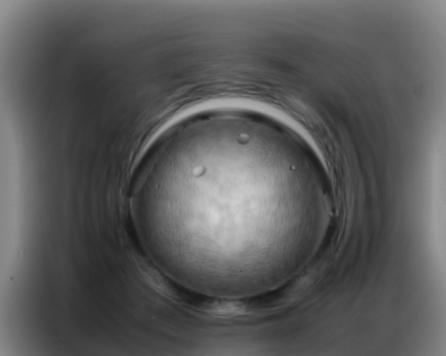 X0000086790409200704201848