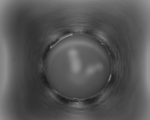 X0000086790411200704201847