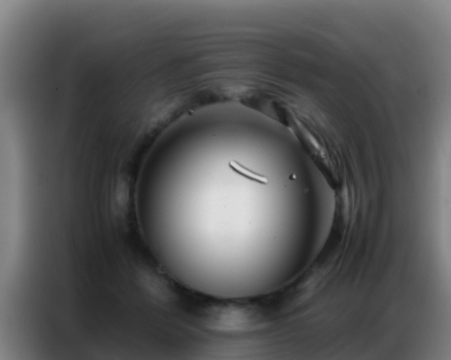 X0000086790412200704201847