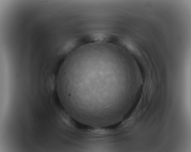 X0000086790413200704201847