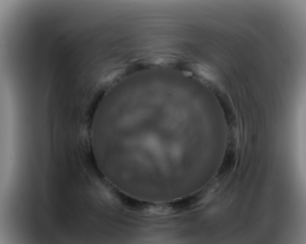 X0000086790415200704201847