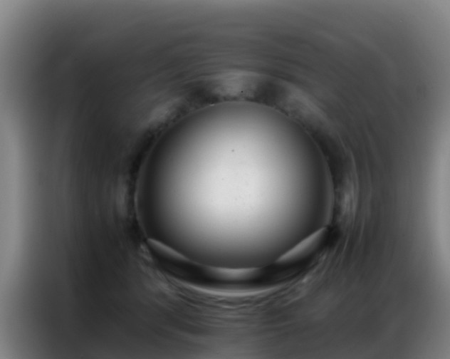 X0000086790416200704201847