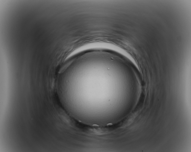 X0000086790417200704201847