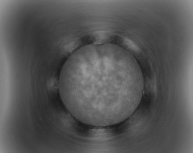 X0000086790419200704201847