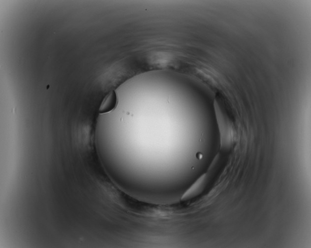 X0000086790420200704201847