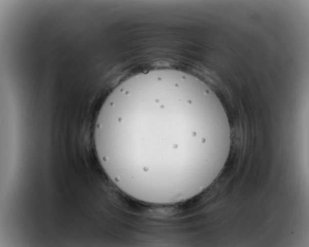 X0000086790422200704201847