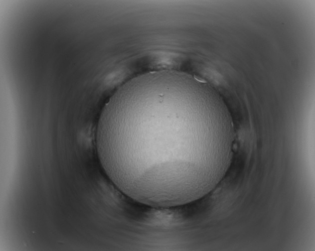 X0000086790423200704201847