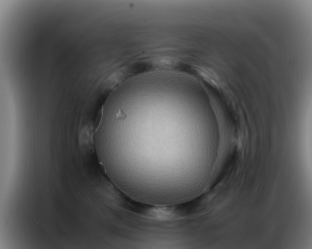 X0000086790425200704201847