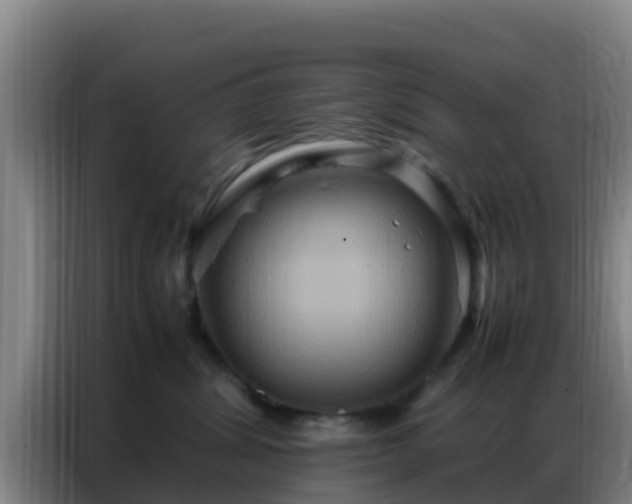 X0000086790428200704201847