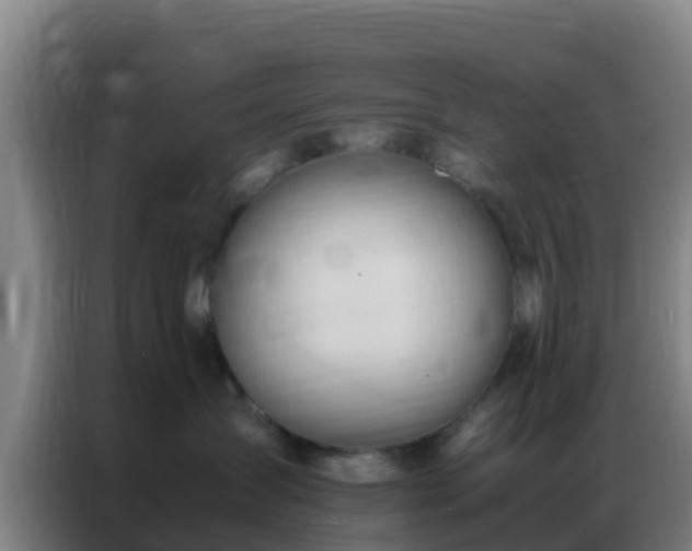 X0000086790431200704201847
