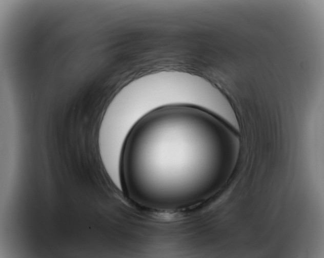 X0000086790432200704201847