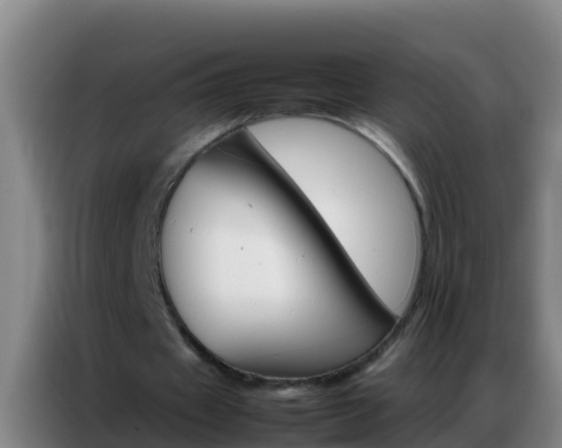 X0000086790433200704201847