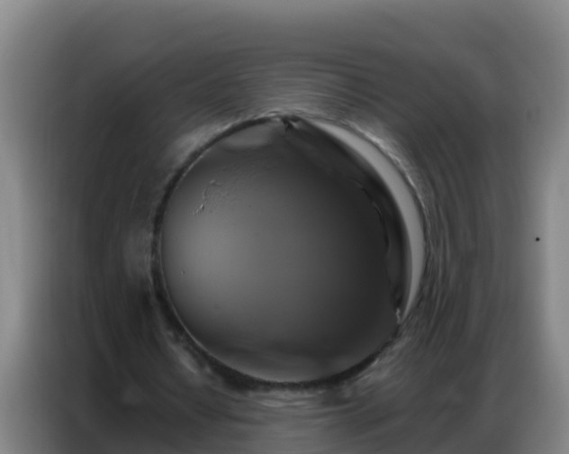 X0000086790434200704201847