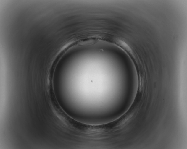 X0000086790435200704201847