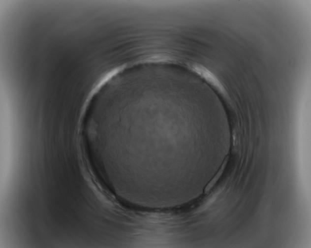 X0000086790436200704201847