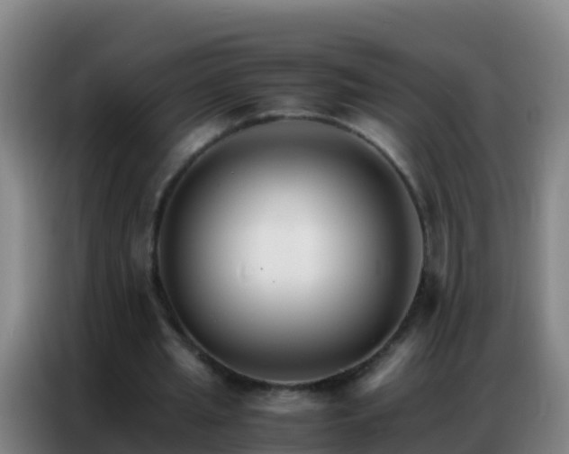 X0000086790437200704201847