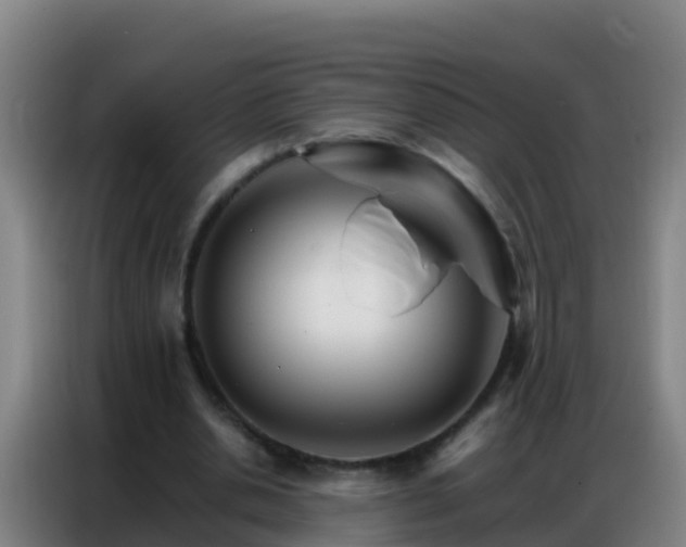 X0000086790438200704201847