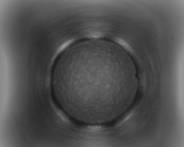 X0000086790440200704201847