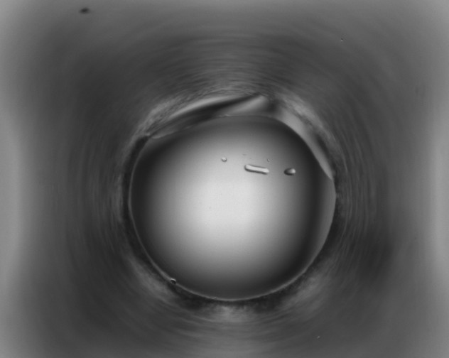 X0000086790442200704201847