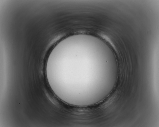 X0000086790443200704201847